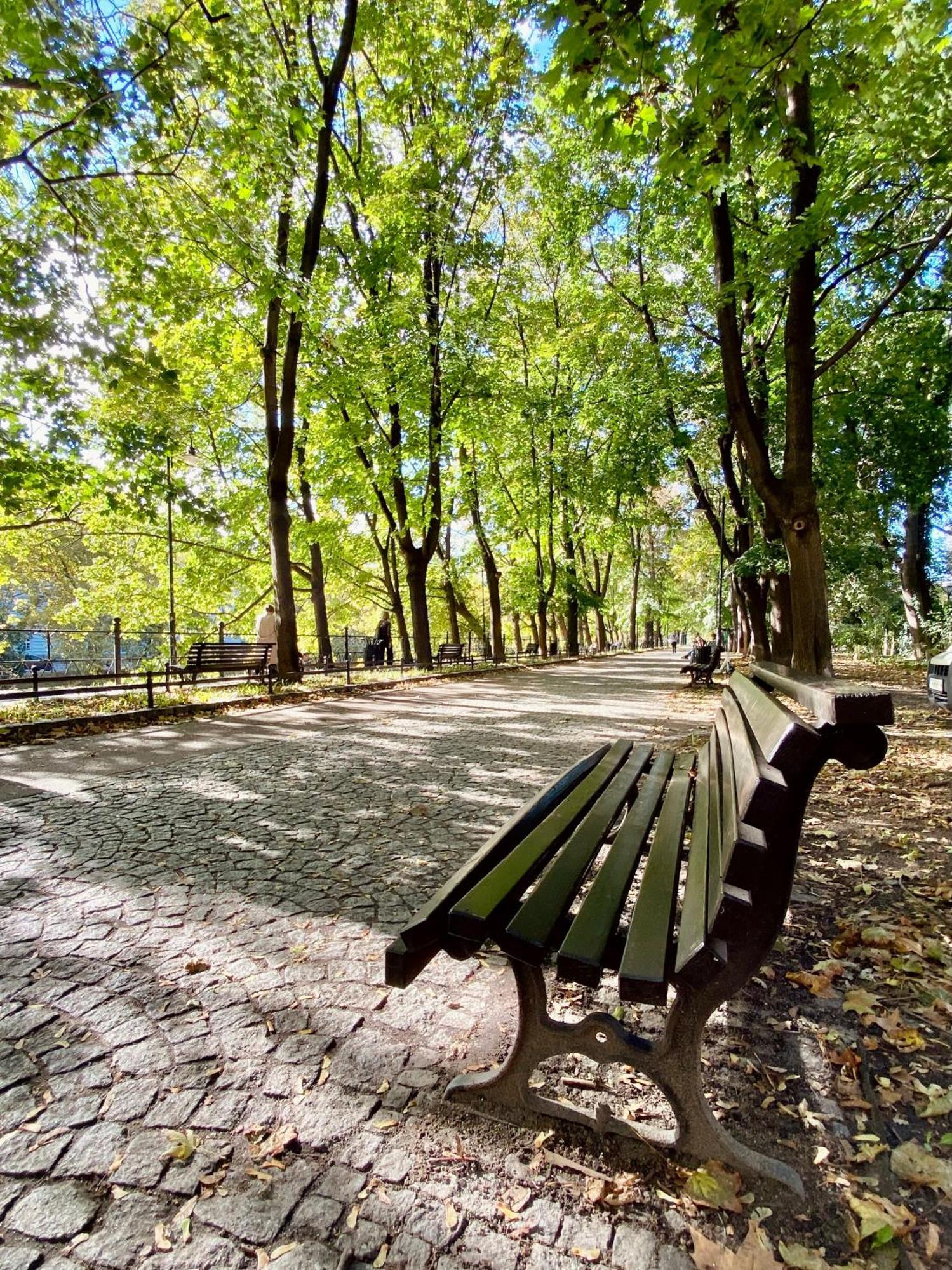 Bright Day Apartment - Self Check-In 24H, 10 Min Market Square Βρότσλαβ Εξωτερικό φωτογραφία